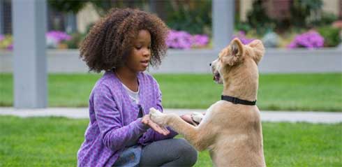 Watch This: New Trailer for Annie