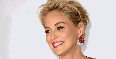 Sharon Stone will star in Agent X on TNT