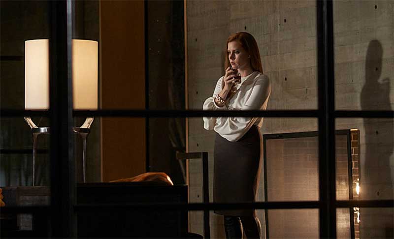 Amy Adams in Nocturnal Animals