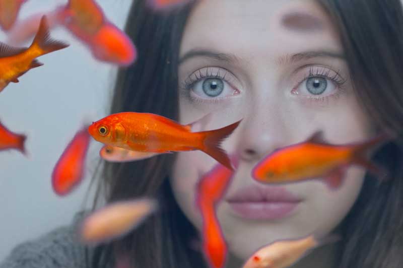 Review: Carrie Pilby