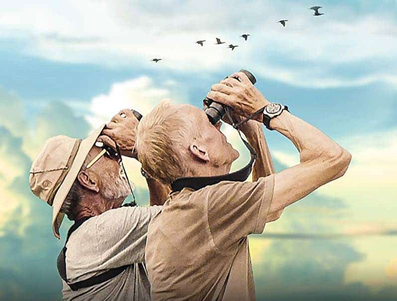 two men watching birds